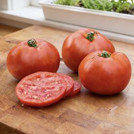 Better Boy, (F1) Tomato Seeds